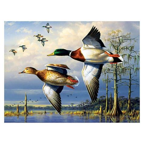 flying ducks birds paint  number paint  numbers  adult