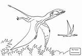 Dimorphodon Coloring Pterodactyl Pages Ceratosaurus Drawing Color Dinosaurs Dinosaur Printable sketch template