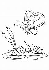 Colorear Butterfly Mariposa Lilies Farfalle Lirios Schmetterling Vlinders Seerose Disegno Flies Sopra Volando Mariposas Farfalla Ausmalbild Ninfee Schmetterlings Reeds Stampare sketch template