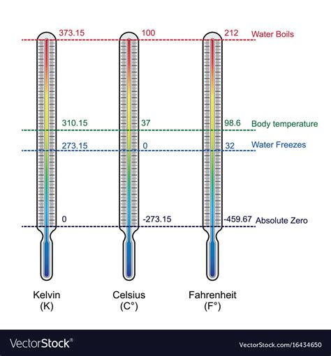 comparison   temperature scales royalty  vector