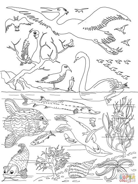 day  creation bible coloring pages creation coloring pages toy