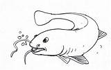 Ikan Lele Sketsa Mewarnai Membuat Cek Komposisinya Azis Kak Huruf Jadikan Pendongeng Sindunesia Sederhana Tawar Koi Beserta Narmadi sketch template