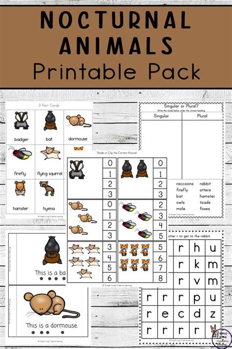 nocturnal animals printable pack nocturnal animals teaching young