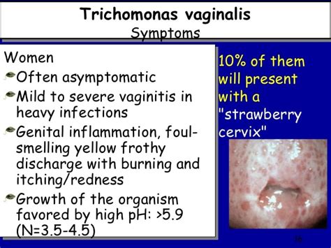 Lab 6 Trichomoniniasis