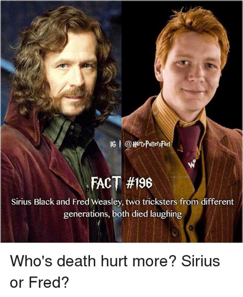25 Best Memes About Sirius Black Sirius Black Memes