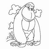 Gorilla Coloring Pages Cute Drawing Kids Printable Angry Getdrawings Color Ben Clipart Online Little Getcolorings sketch template