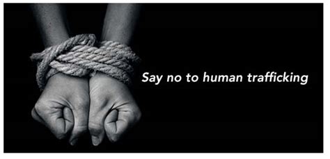 say no to human trafficking kvc kansas