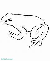 Froglet Frog sketch template