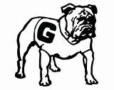 Georgia Coloring Bulldog Pages Bulldogs Drawings University Printable Color Logo Print Drawing Clipart Getcolorings Colouring Getdrawings Col Paintingvalley Template Comments sketch template