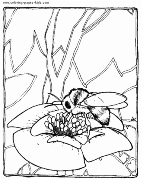 honey bee coloring page luxury bee coloring pages bees  net bee