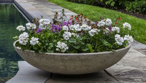 campania international  zen bowl cast stone pot planter perigold