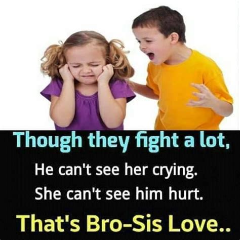 Quotes About Siblings Fighting Shortquotes Cc