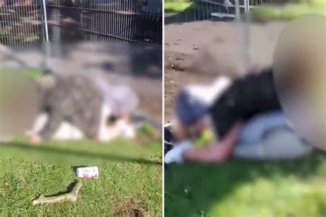 Moaning Couple Caught Having Sex In Park Just Metres From Playing