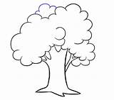 Tree Drawing Cartoon Draw Clipart Easy Simple Line Drawings Outline Step Trees Plant Guava Kids Getdrawings Easydrawingguides Guides Lines Clip sketch template