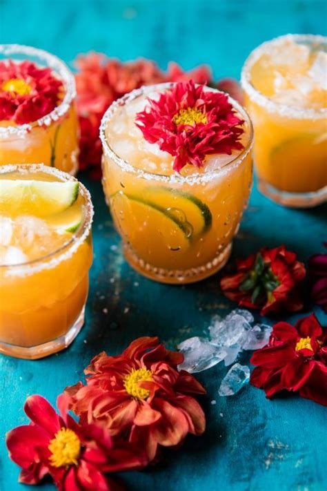 rezepte fuer cocktails mit zitrusfruechten attraktive getraenke mit