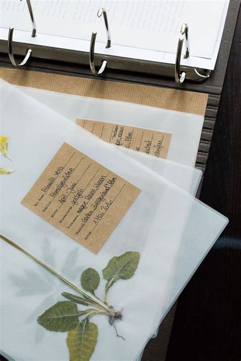 herbarium etiketten herbarium etiketten vorlagen fuer dein etsyde
