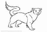 Weasel Coloring Stoat Lineart Animal Getcolorings Deviantart Pages sketch template