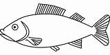 Fisch Fische Ausmalbild Malvorlage Malvorlagen Kostenlos Einfache Ausdrucken Peixe Hecht Peixes Regenbogenfisch sketch template