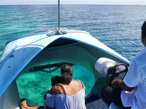Glass Bottom Boat In Awe Of The Indian Ocean The Maldives