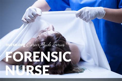 steps    forensic nurse salary programs