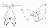 Bats Bat Coloring Printable Pages Kids Cute Draw Drawing Drawings Down Hanging Clipart Upside Halloween Print Vampire Sheets Flying Clip sketch template