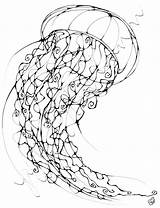 Jellyfish Drawing Getdrawings Color Coloring sketch template