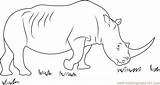 Rhino Coloringpages101 Rhinoceros sketch template