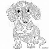 Hond Volwassenen Kleurplaten Dieren sketch template