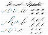 Copperplate Workbook Alphabet Minuscule sketch template