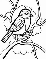 Sparrow Burung Mewarnai Coloring4free Bestcoloringpagesforkids Worm sketch template