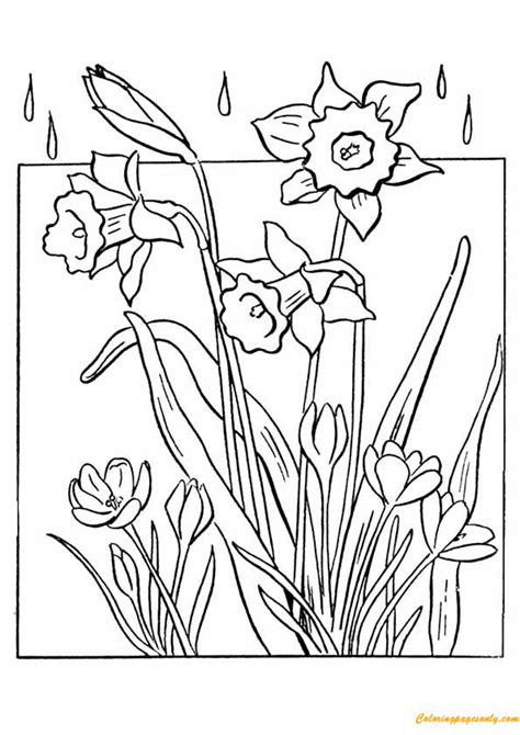 spring flowers coloring pages  printable coloring pages