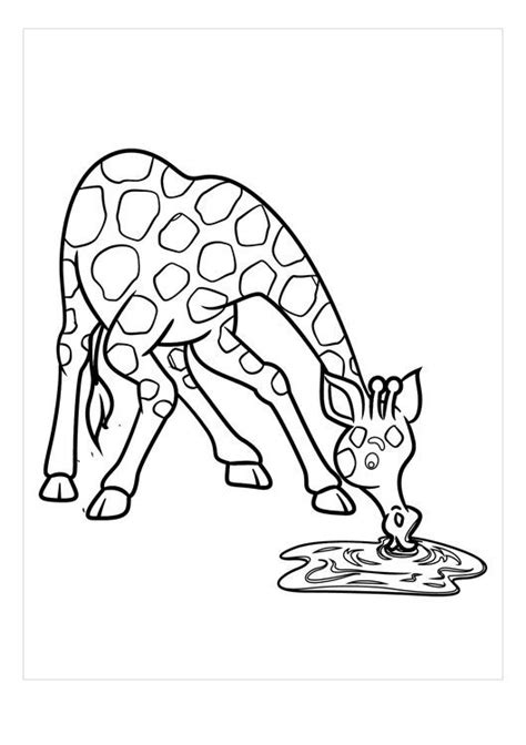 water safety coloring pages  spanish book  kids