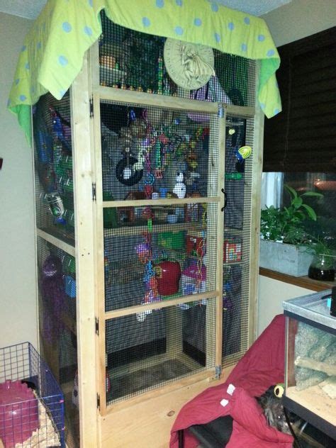 sugar glider cages  decorated cages ideas sugar glider cage sugar glider gliders