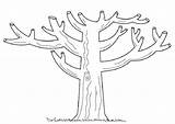 Arboles Dibujo árboles Invierno Tronco árbol Otoño Template Genealógico sketch template