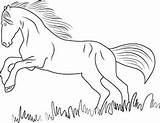Ausmalbilder Pferd Springendes Pferde Tiere Coloringpages101 Ausmalbild Adults Findest Weitere Hunde Vorschule Zeichnen sketch template