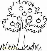Coloring Orchard Pages Apple Getcolorings Trees sketch template