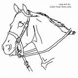 Horse Roping Coloring Pages Headstudy Color Own Line Index sketch template