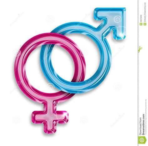 male and female gender symbols royalty free stock images image 30079269