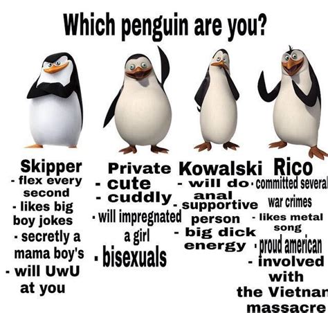 penguins  madagascar meme    boys