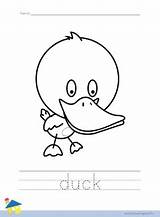 Duck sketch template