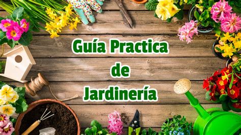 🥇 🥇 Guía Practica Para Cultivar Cactáceas Y Suculentas Pdf 🥇