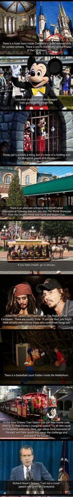 Things You Maybe Didn T Know About Tangled Disney Facts Disney Memes