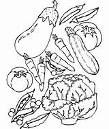 Coloring Food Pages Nutrition Healthy Clipart Library Vegetable sketch template