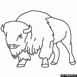 Bison Buffalo Coloring Pages Drawing Kids Animal Drawings Printable Outline Color Ny Silhouette Bills Books Clipart Animals Book Getdrawings Skyline sketch template