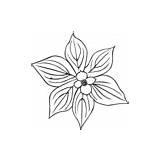 Coloring Clker Clip Blanketflower Common Petals Wild Flower sketch template
