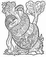 Sloths Zentangle Coloringbay Otter sketch template