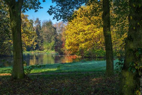 Free Images Landscape Tree Nature Meadow Sunlight Leaf Pond