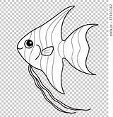 Angelfish Coloring Illustration Stock sketch template