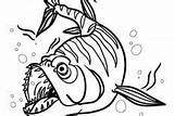 Coloring Barracuda Fish Pages Predator Sea sketch template