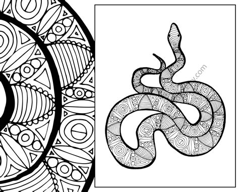 snake coloring sheet animal coloring  zentangle adult